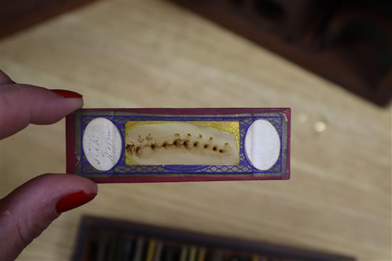 A Victorian brass scientific microscope by Ross, London, boxed with a case of slides